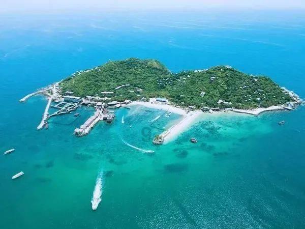 罗永浩宣布退出所有社交平台，再次埋头创业，这一次他会选择哪个行业？