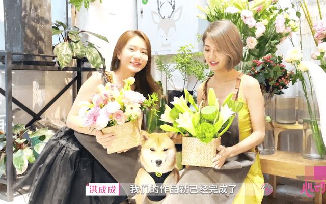 小猫钓鱼开船版最新版下载