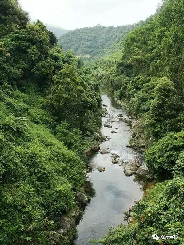 中华家训箴言集萃 | 修身立德(四十四)
