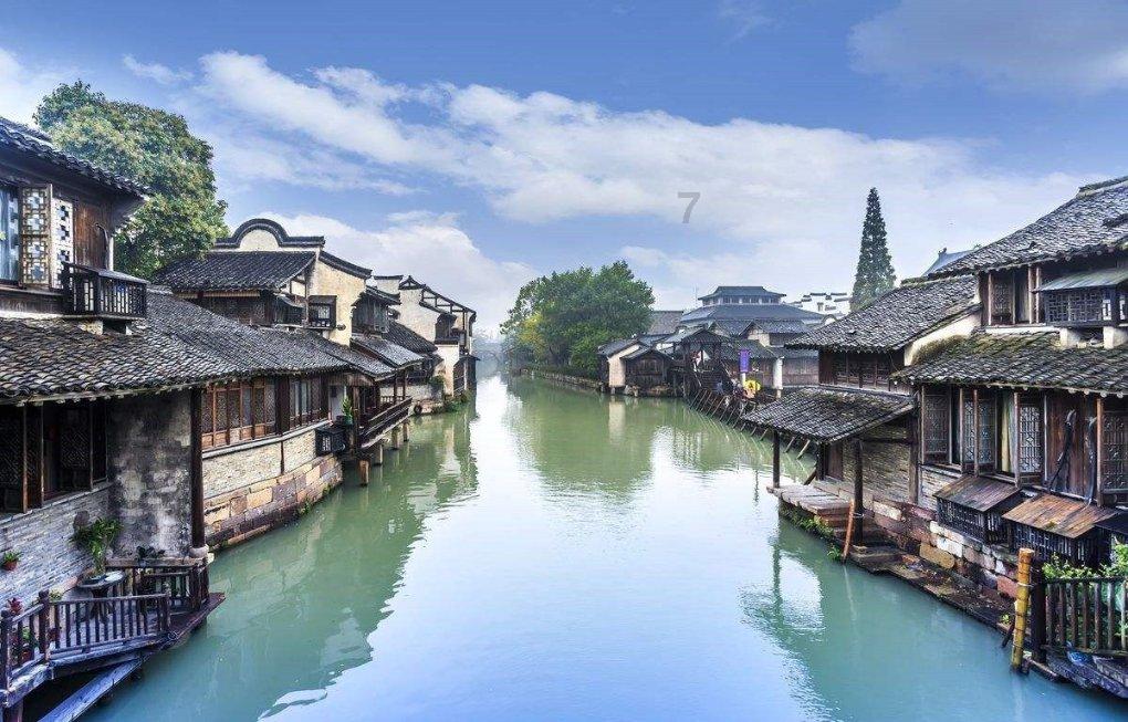 救援海盗章鱼