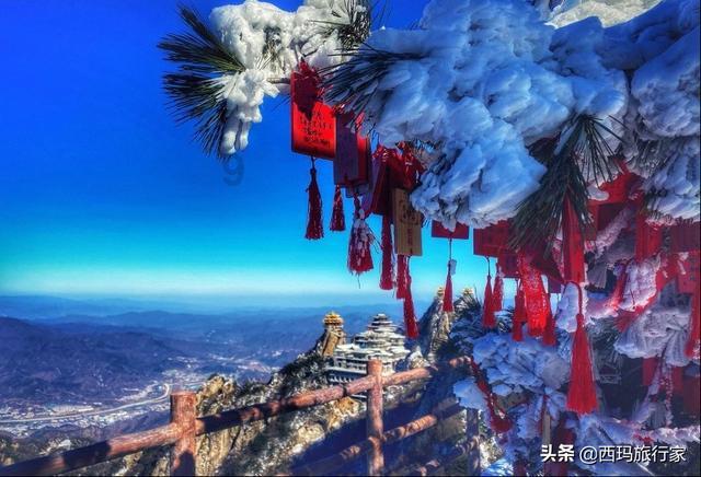 清洁燃料联盟：美国在2023年生产了40亿加仑的生物柴油